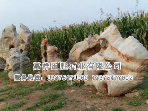 點(diǎn)擊查看詳細(xì)信息<br>標(biāo)題：自然奇石 閱讀次數(shù)：1741