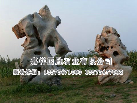 點(diǎn)擊查看詳細(xì)信息<br>標(biāo)題：自然奇石 閱讀次數(shù)：1578