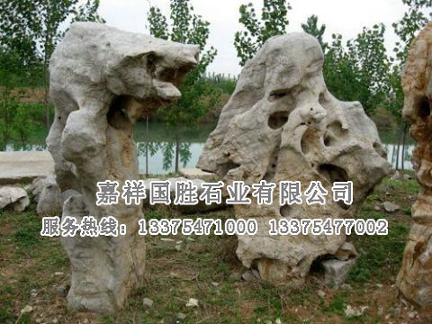 點(diǎn)擊查看詳細(xì)信息<br>標(biāo)題：自然奇石 閱讀次數(shù)：2181