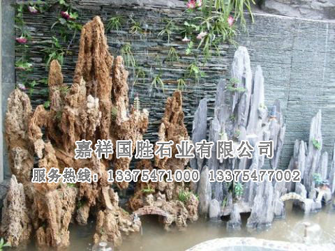 點擊查看詳細信息<br>標題：假山 閱讀次數(shù)：2228
