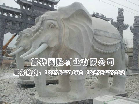 點(diǎn)擊查看詳細(xì)信息<br>標(biāo)題：大象 閱讀次數(shù)：2300
