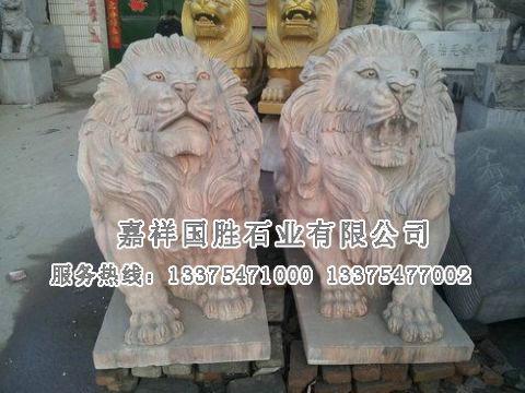 點(diǎn)擊查看詳細(xì)信息<br>標(biāo)題：晚霞紅臥獅 閱讀次數(shù)：2559